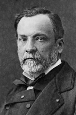 Výstřižek Pasteur